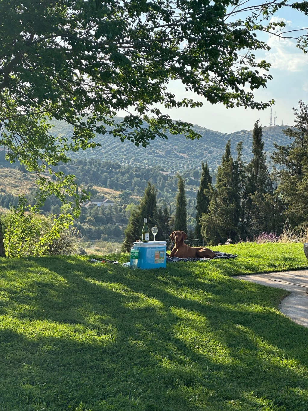 From Ireland to Spanish Sun: Phoebe’s 5,000km Road Trip&nbsp;Adventure!