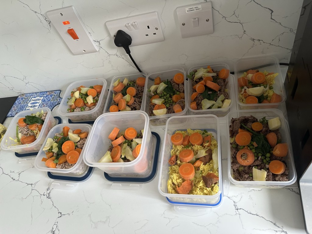 Feeding Our Vizsla: A Journey with Phoebe’s&nbsp;Diet